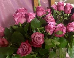 -咪咪比基尼脱毛专业店