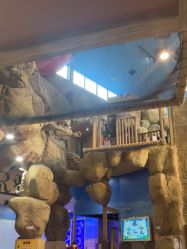 -卡通尼·Safari非洲探索乐园·生日会(金桥国际商业广场店)