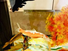 -中国建设银行(大连商品交易所支行)