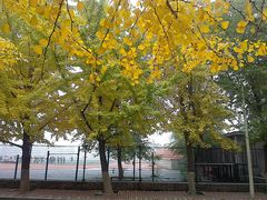 -辽宁大学(崇山校区)