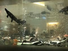 -衡山汇·高级粤菜(霄云路店)