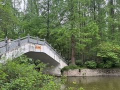 -水杉园