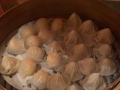 -上海大宁福朋喜来登酒店大堂吧(共和新路店)