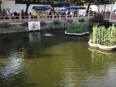 -豫园湖心亭茶楼