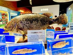 -千岛湖鱼味馆(十字街总店)