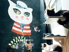 -猫咪博物馆(顶澳仔猫街店)