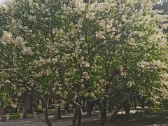 -北京市劳动人民文化宫(太庙)