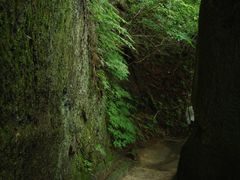 -松岛