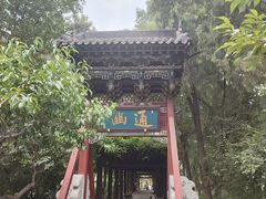 -晋祠公园