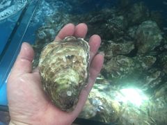 -雅逸居海鲜小厨