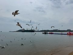 -海驴岛(荣成市)