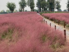 -汉长安城未央宫国家考古遗址公园