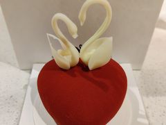 -BLACKSWAN黑天鹅(环球店)