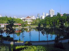 -金花茶公园