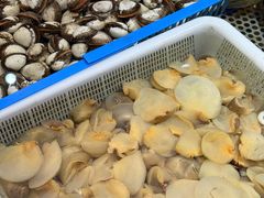 -映像烟台·海鲜·地道鲁菜(海信慧园店)