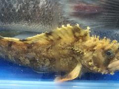 -福润海鲜馆
