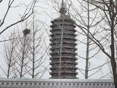 -西海子公园