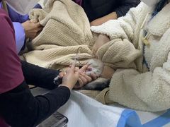 -美联众合动物医院·24h转诊中心