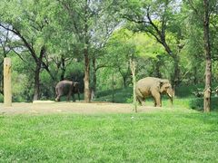 -北京野生动物园