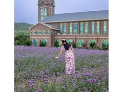-龙口南山旅游景区