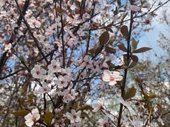 -桤木河湿地公园