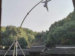 -乌镇东栅景区