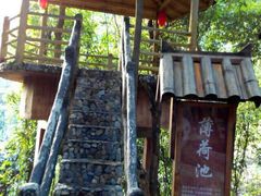 -天门沟九州驿站树上汤泉