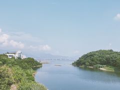 -鲤鱼洲酒店港鲤咖啡厅