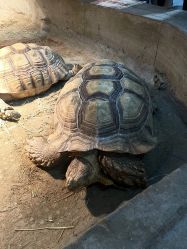 -Zoolung Zoolung动物主题公园(海信广场店)