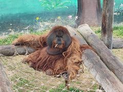 -西霞口神雕山野生动物世界
