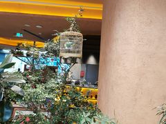 -大悦城(沈阳中街店)