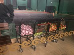 -齐动力网球(星河湾基地店)