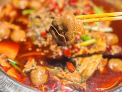 -宽口美蛙鱼头(大唐西市店)