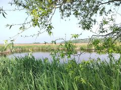 -野鸭湖国家湿地公园