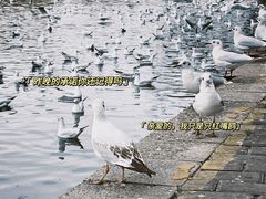-翠湖公园