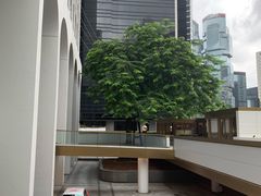 -尼依格罗香港美利酒店