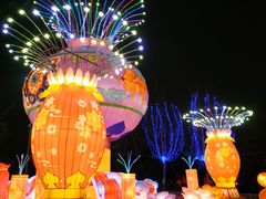 -武汉园博园(武汉自然博物馆)