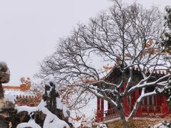 -故宫博物院(故宫)