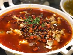 -庆合府重庆大排档(紫都城店)