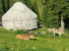 -新疆那拉提国家旅游度假区