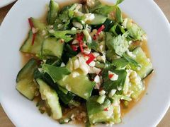 拍黄瓜-西山人家·二十年老字号农家菜(旺山店)