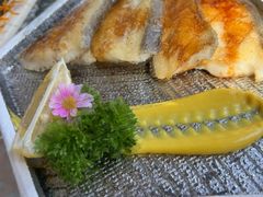 -弓二·烧鸟居酒屋(财富购物中心店)