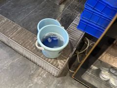 -陶然居·重庆菜(解放碑店)