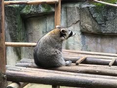 -杭州野生动物世界