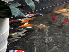 -天津海河悦榕庄·Lobby Lounge大堂吧