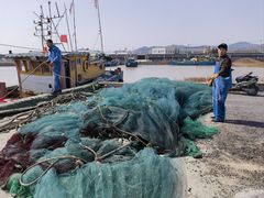 -阿南海鲜