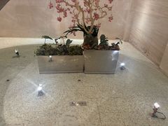 -江南·JIANGNAN(北京歌华开元大酒店)