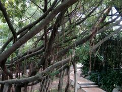 -颐和澜悦欢乐水世界(原颐和温泉城)