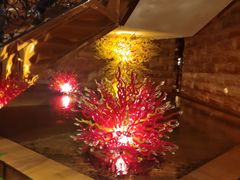 -西安赛瑞喜来登大酒店
