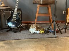 -咖法森林·咖啡  酒吧(天河店)